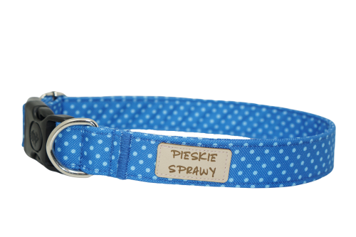 niebieski obroża.png