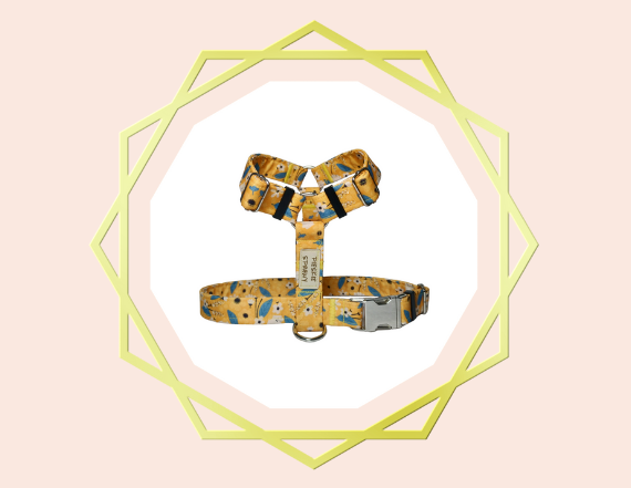 Stylowość w każdym szwie